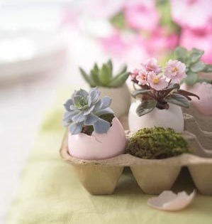 eggshell_pots