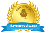 chicken hatchery award